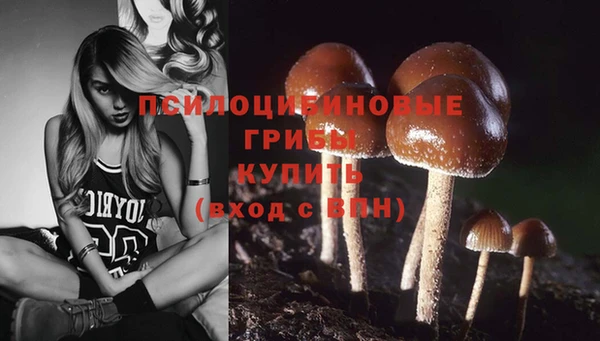 бутират Дмитров